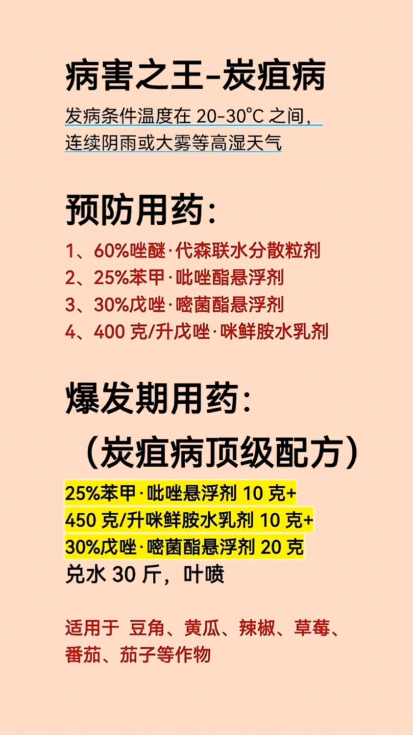 作物常见病害炭疽病防治,服务三农支持三农