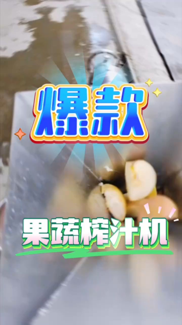 果蔬榨汁机～时产原材料500斤