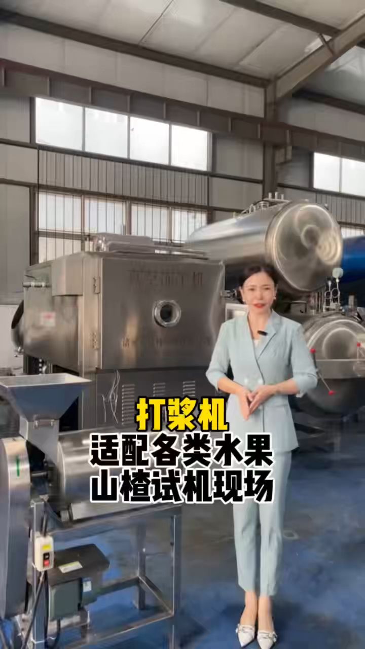 打浆机适配各类水果