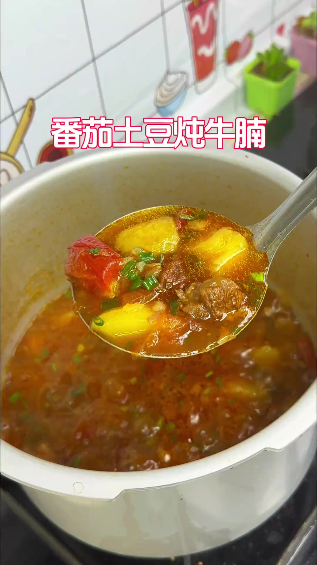 番茄土豆炖牛腩 最快捷的番茄土豆炖牛腩,牛腩软烂入味,汤汁鲜美