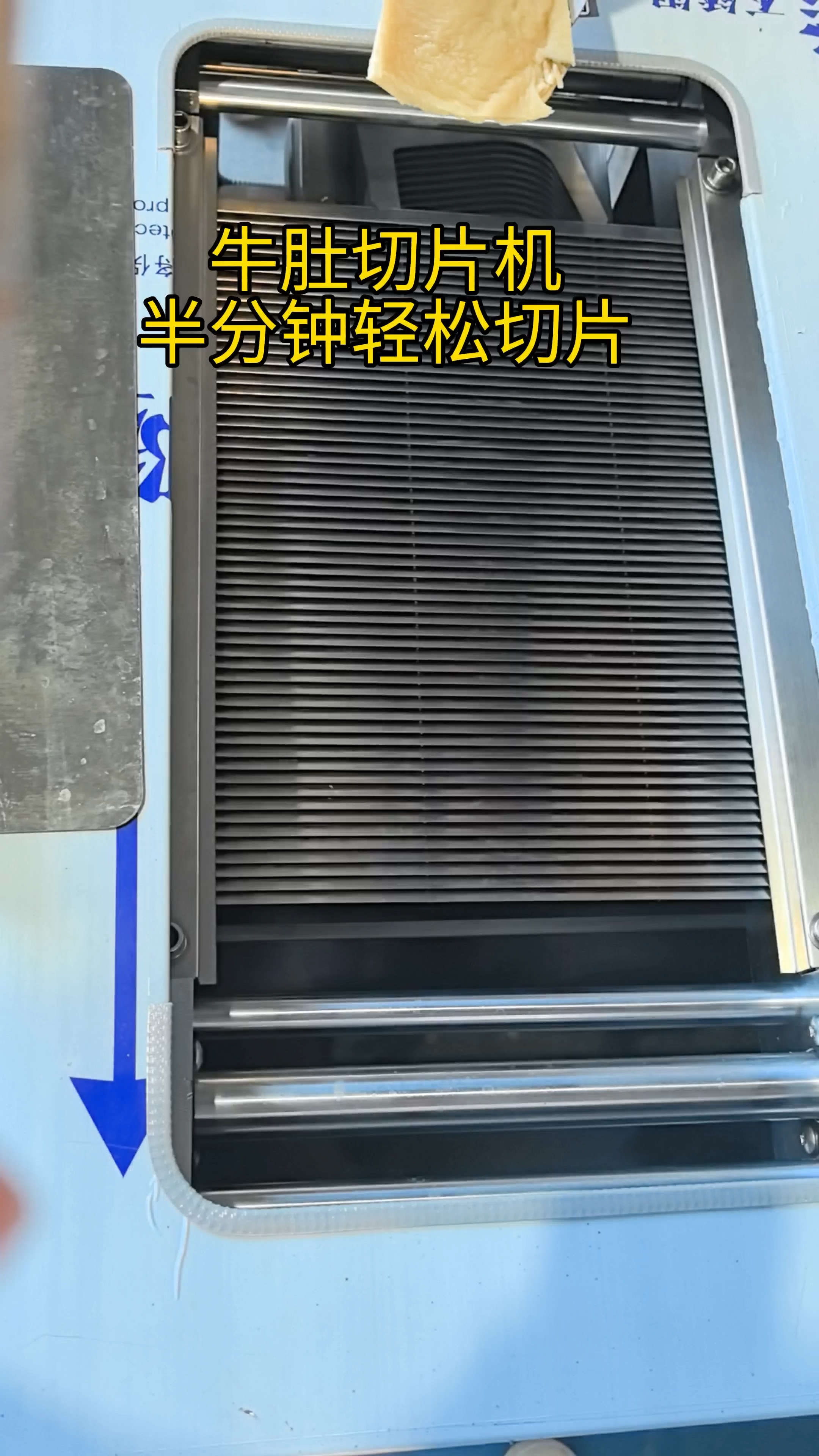 #鱼片机 #鱼片机切牛肚 #斜切鱼片机牛肚切片 #牛肚切片机