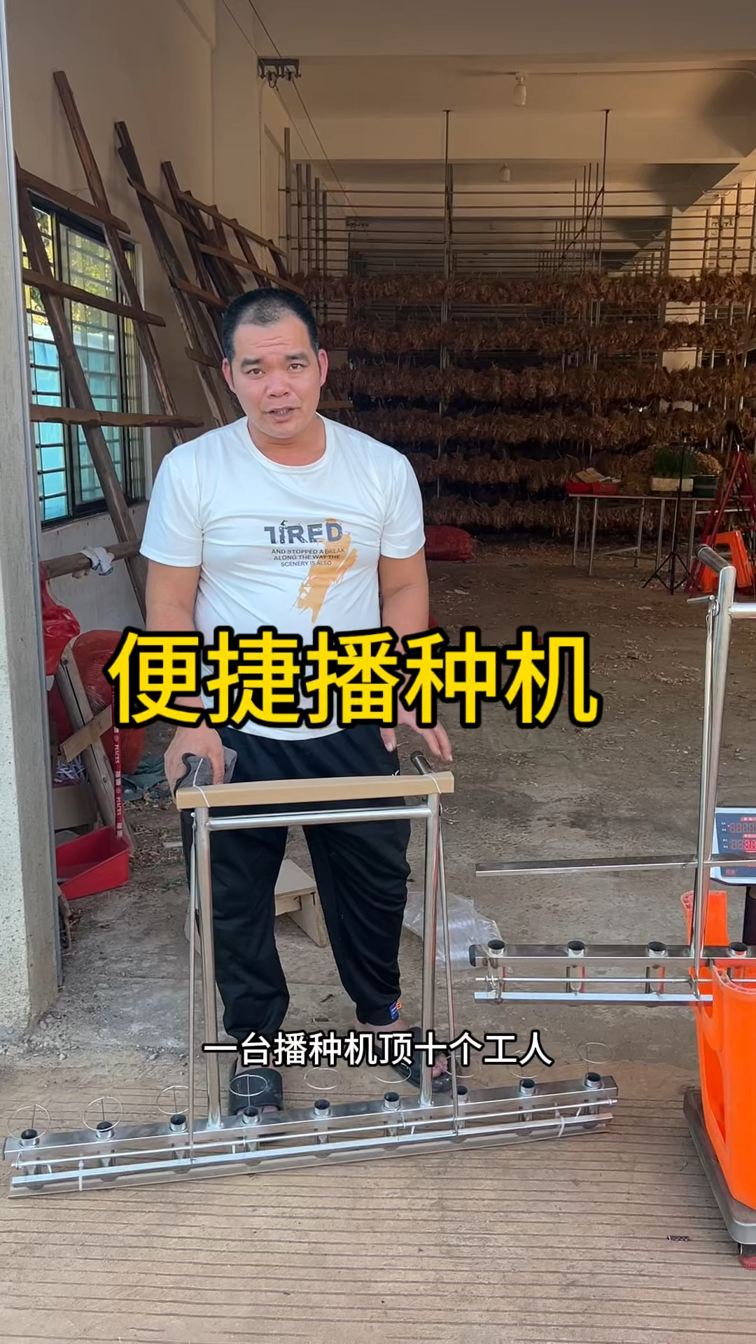手工空心菜香菜菠菜播种神器