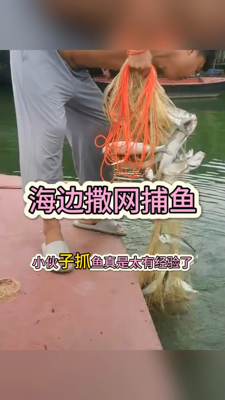 海边撒网捕鱼,小伙很有经验