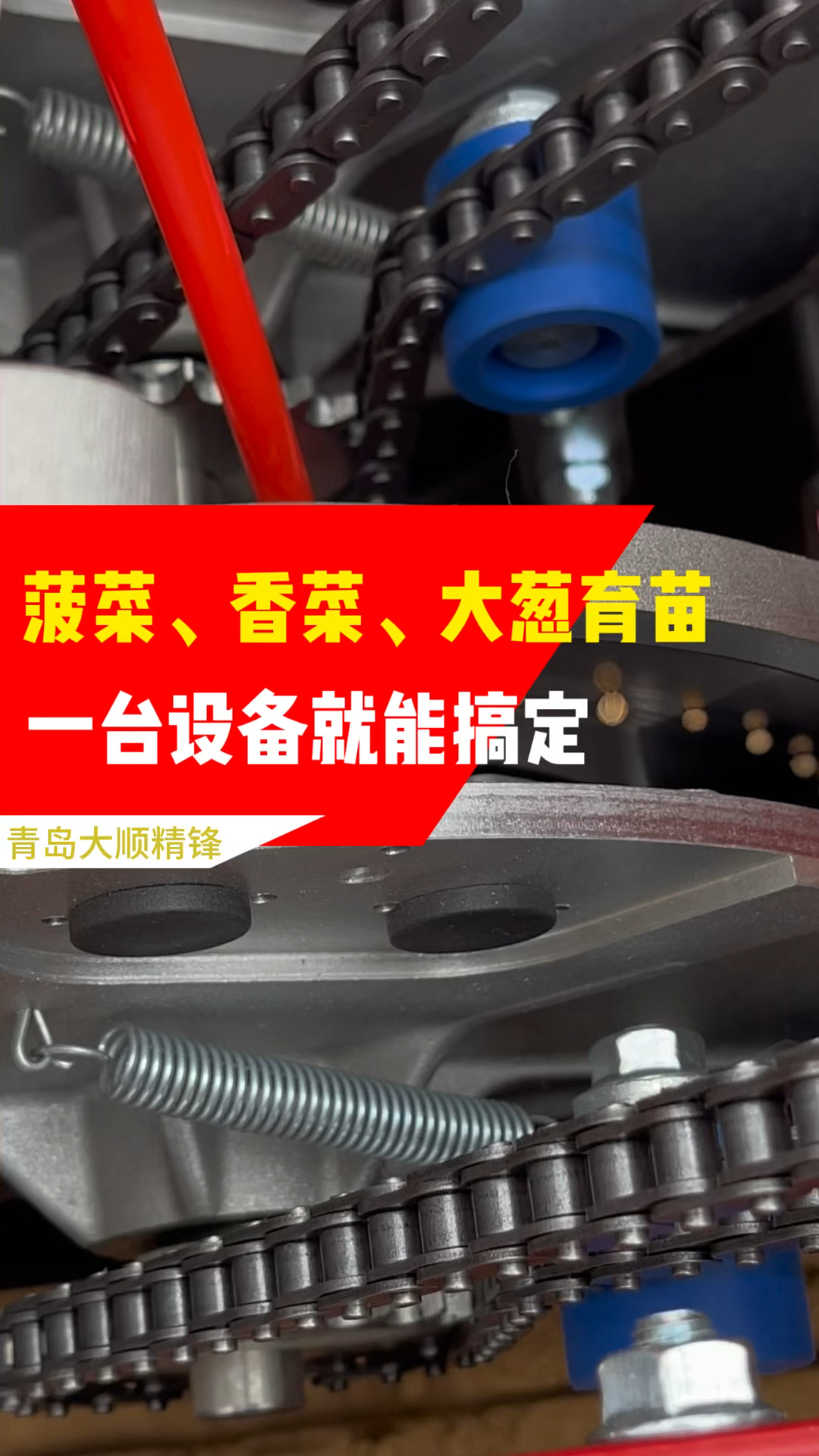 菠菜、香菜、大葱育苗一台设备就能全部搞定#三农 #现代化农业机