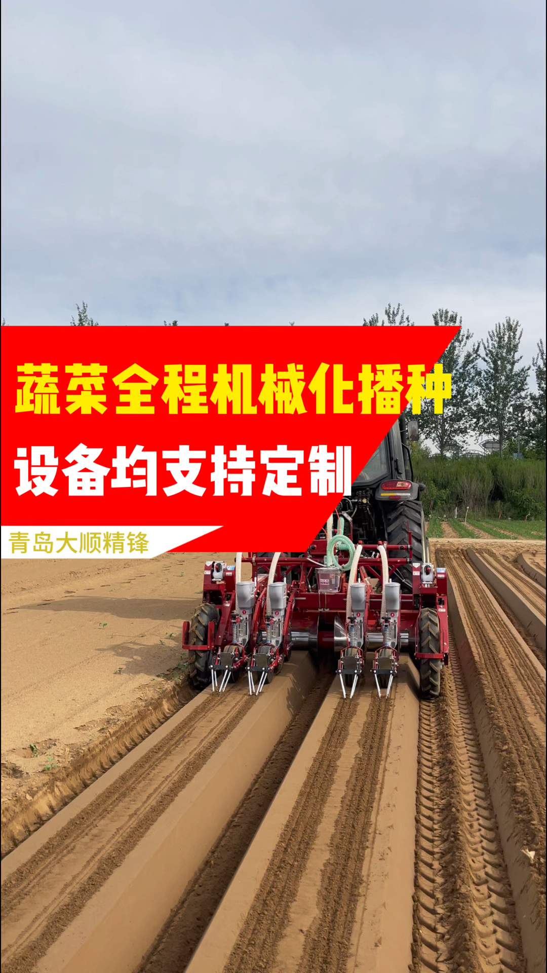 蔬菜全程机械化播种,设备均可定制#蔬菜播种机#白萝卜播种机
