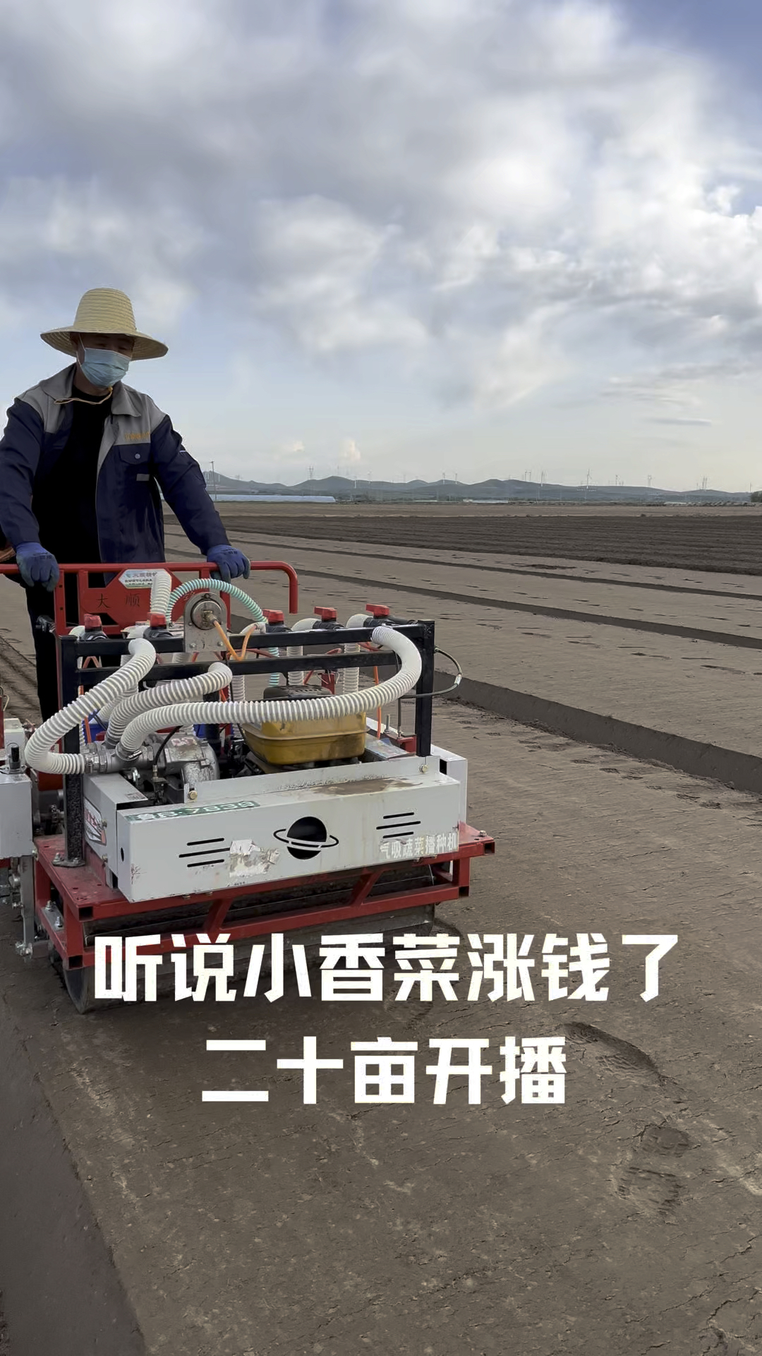 听说小香菜涨钱了，二十亩开播#菠菜播种机#香菜播种机