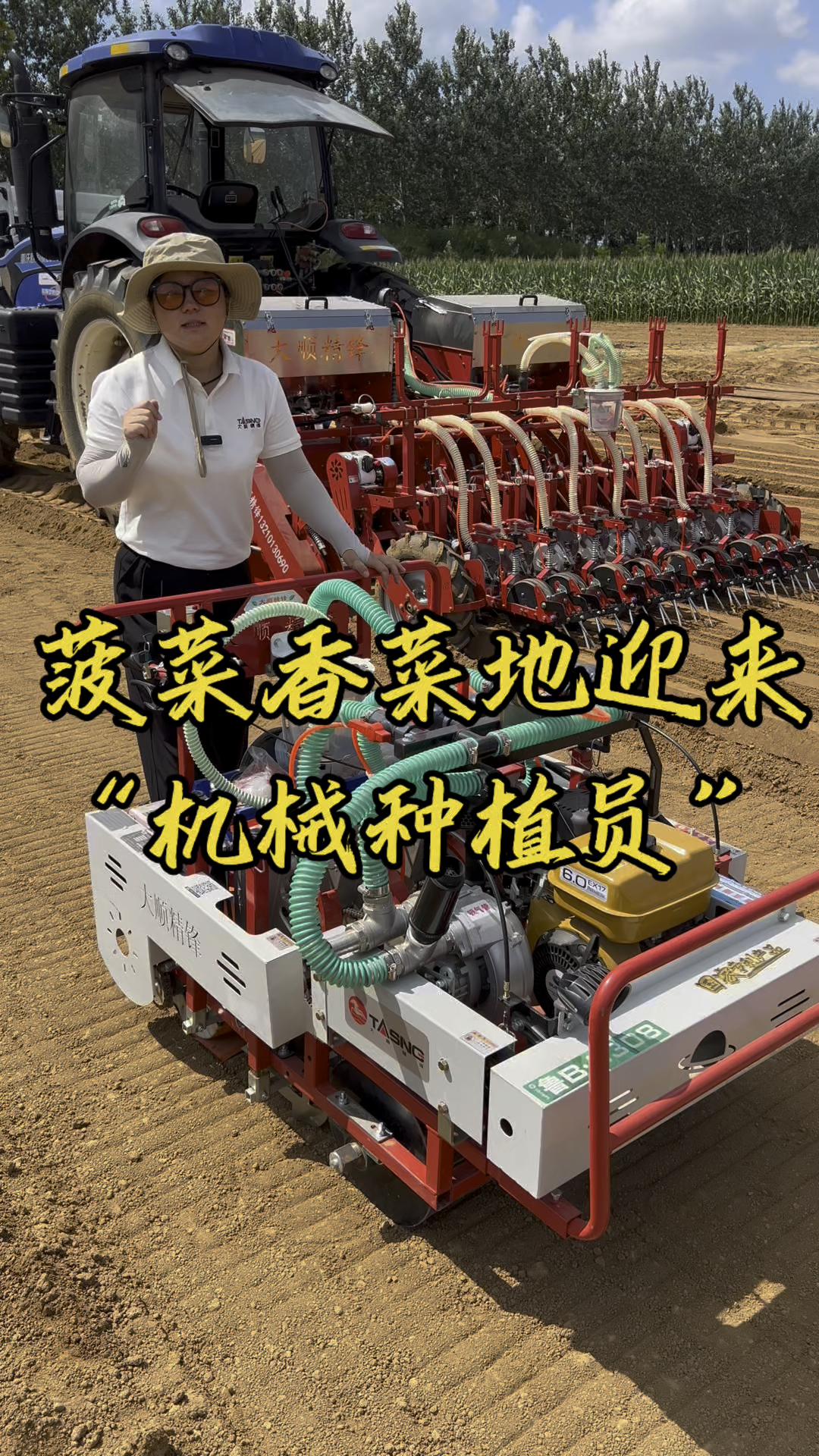 菠菜、香菜地迎来“机械种植员”#菠菜播种机#香菜播种机