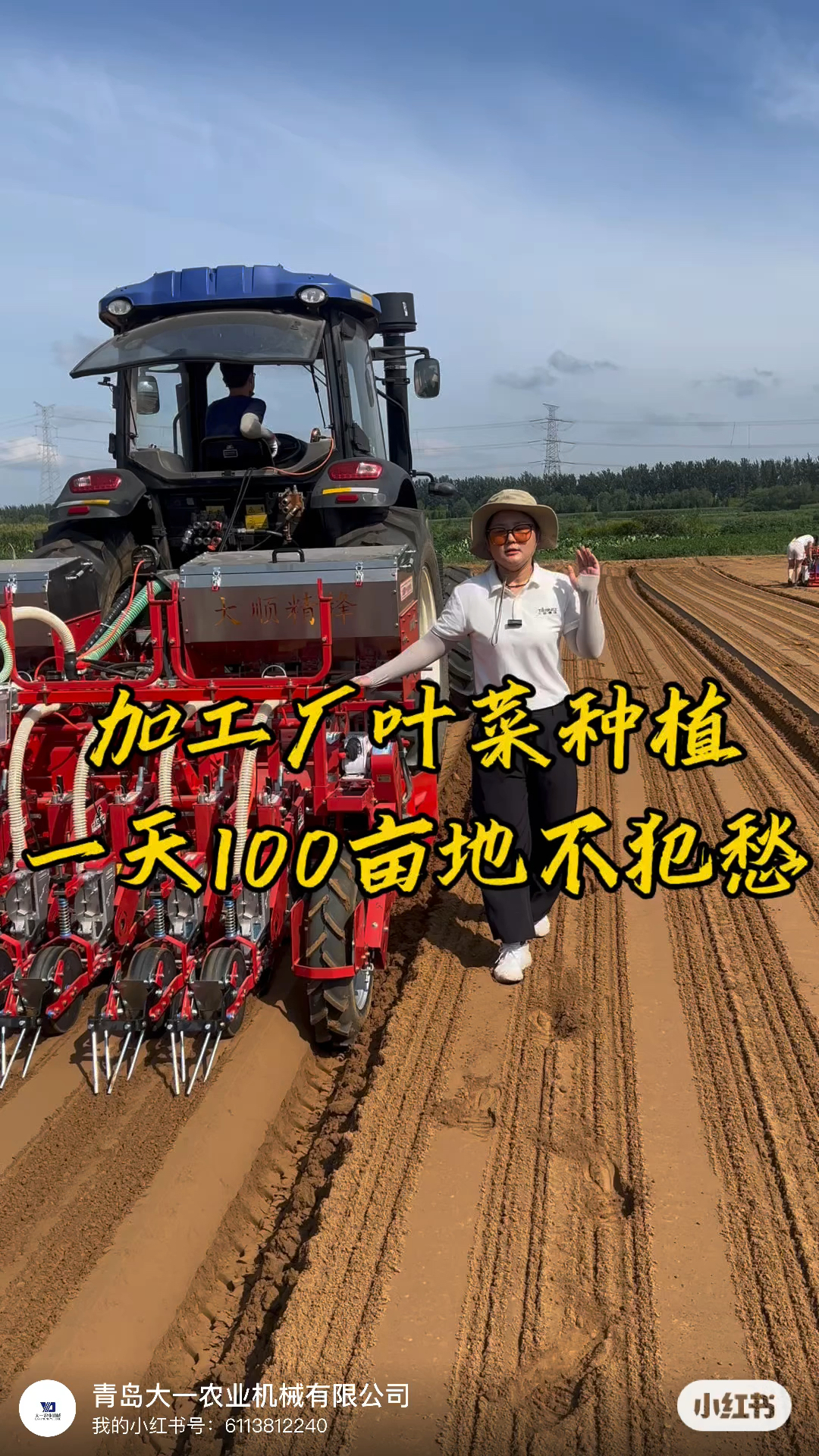 加工厂叶菜种植，一天100亩地不犯愁#菠菜播种机#香菜播种机