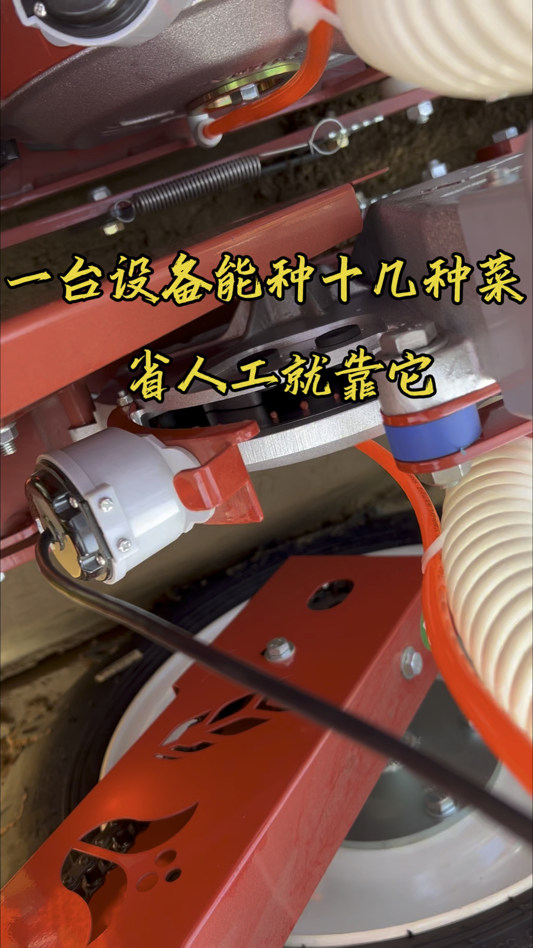 一台设备能种十几种菜,省人工就靠它#菠菜播种机#香菜播种机