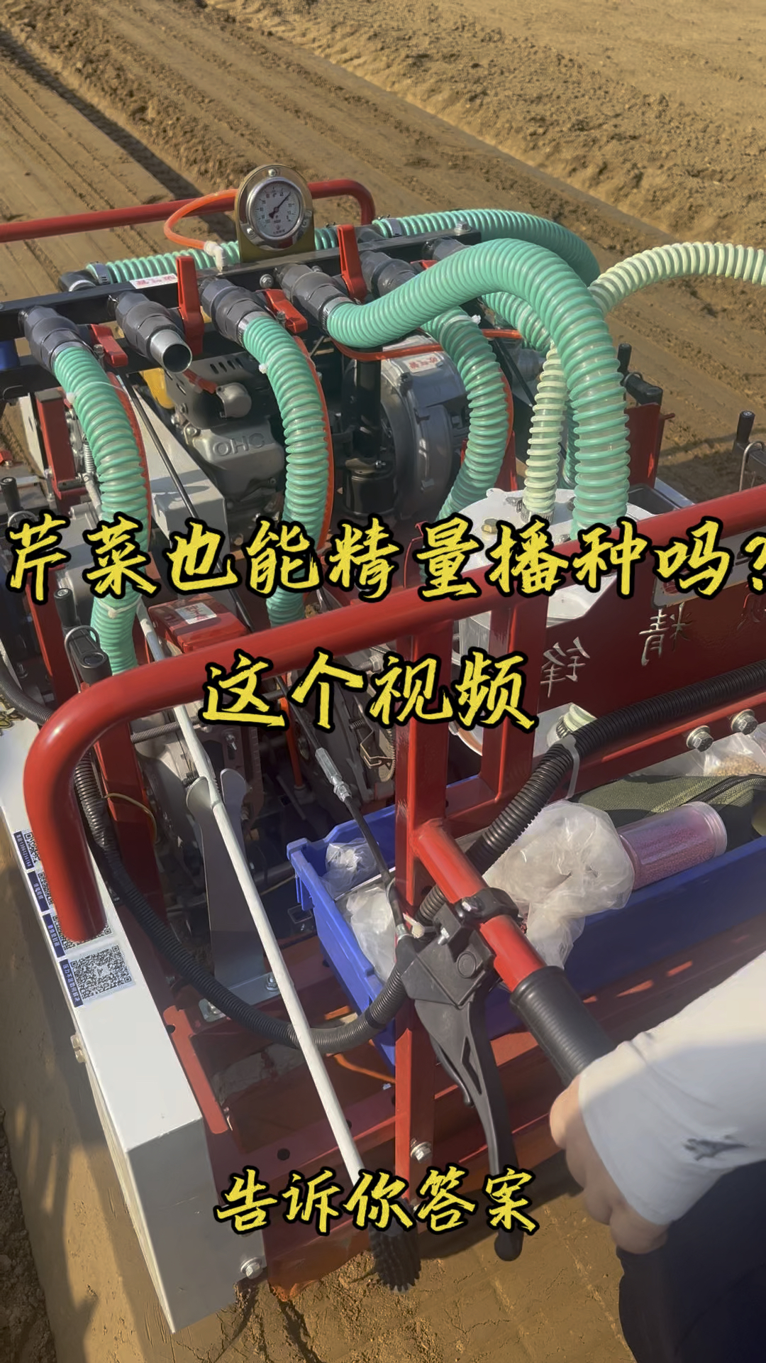 芹菜也能精量播种吗？这个视频告诉你答案#芹菜播种机#蔬菜播种机