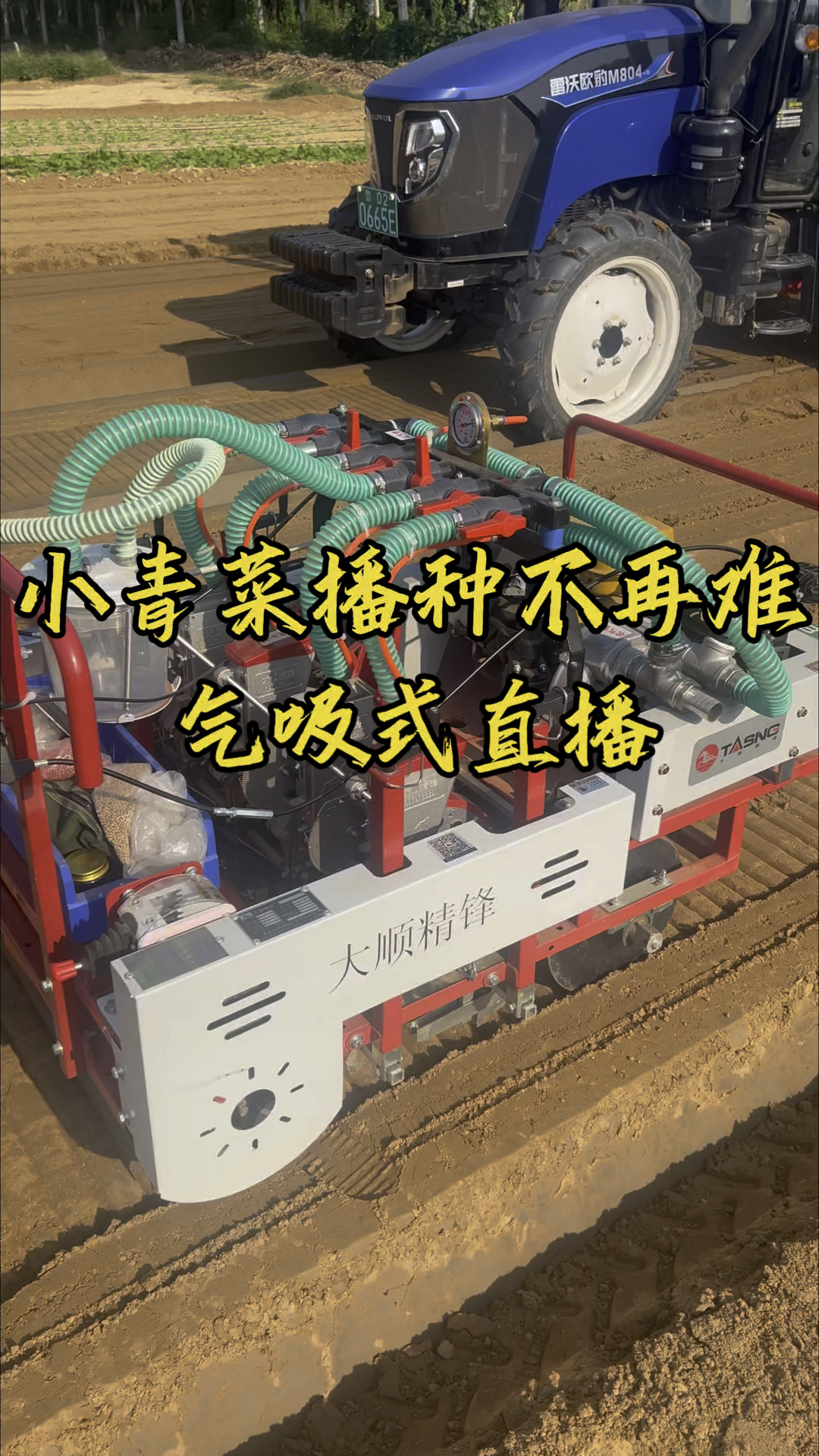 小青菜播种不再难,气吸式直播#菠菜播种机#蔬菜播种机