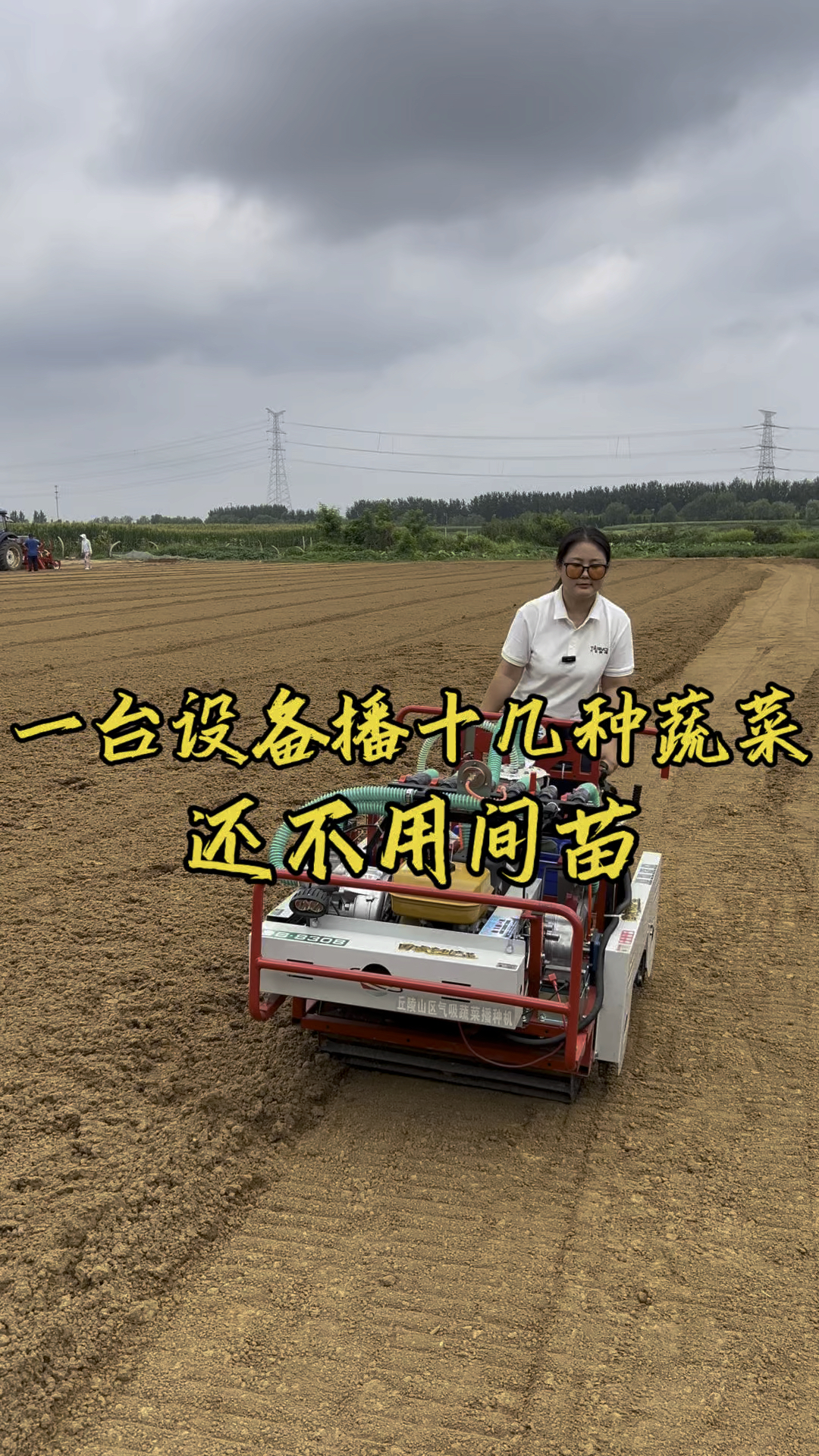 一台设备播十几种蔬菜，而且不用间苗#菠菜播种机#香菜播种机