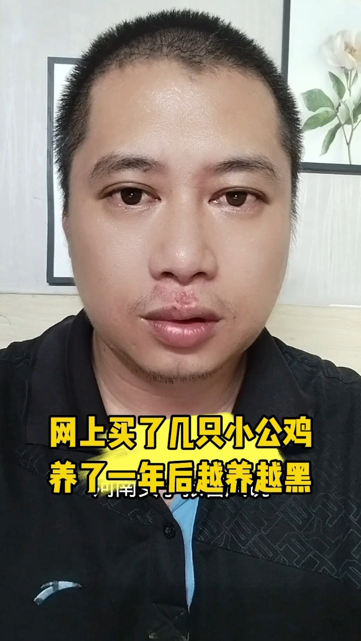 网上买了几只小公鸡,养了一年后越养越黑。