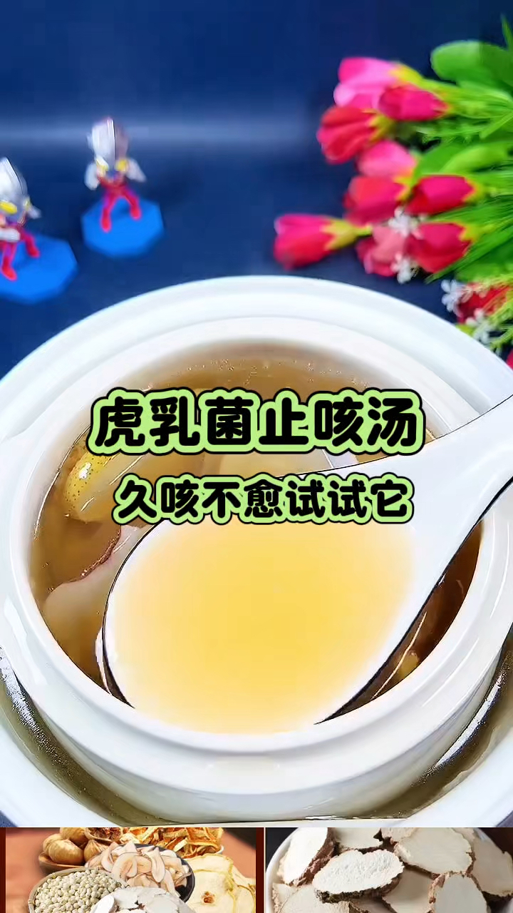 虎乳菌止咳汤 久咳不愈试试它