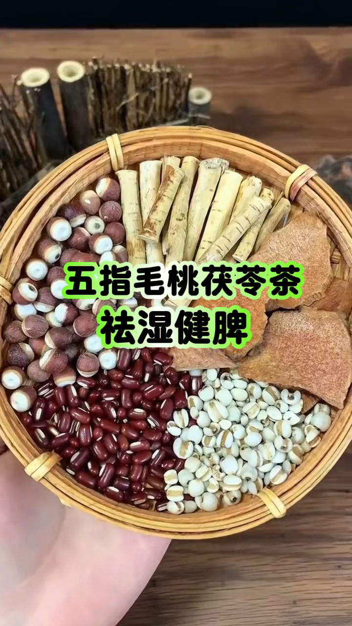 五指毛桃茯苓茶 健脾祛湿