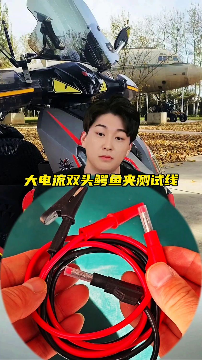 大电流双头鳄鱼夹测试线!