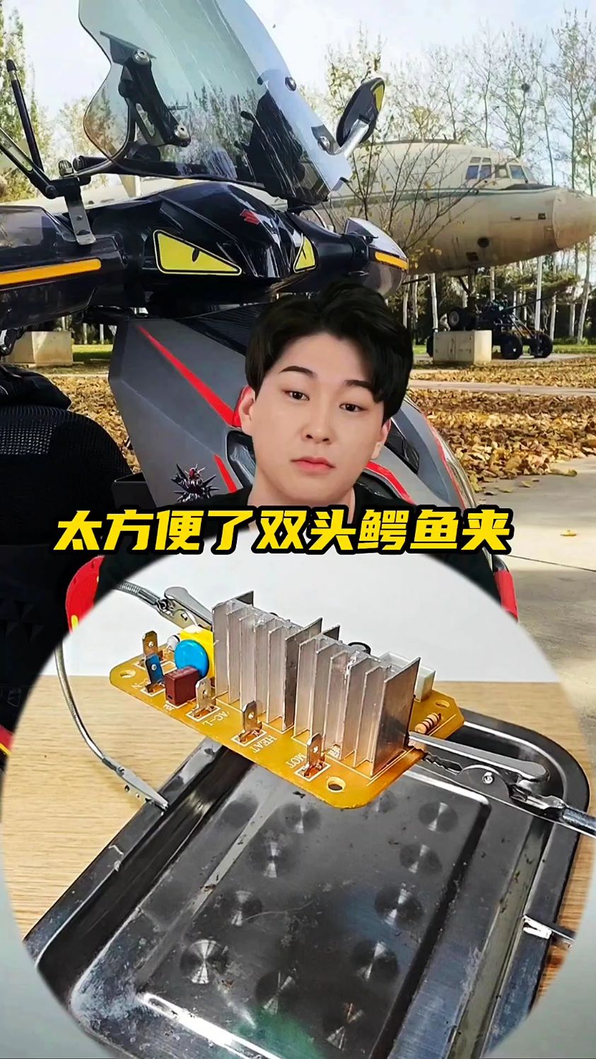 太方便了双头鳄鱼夹