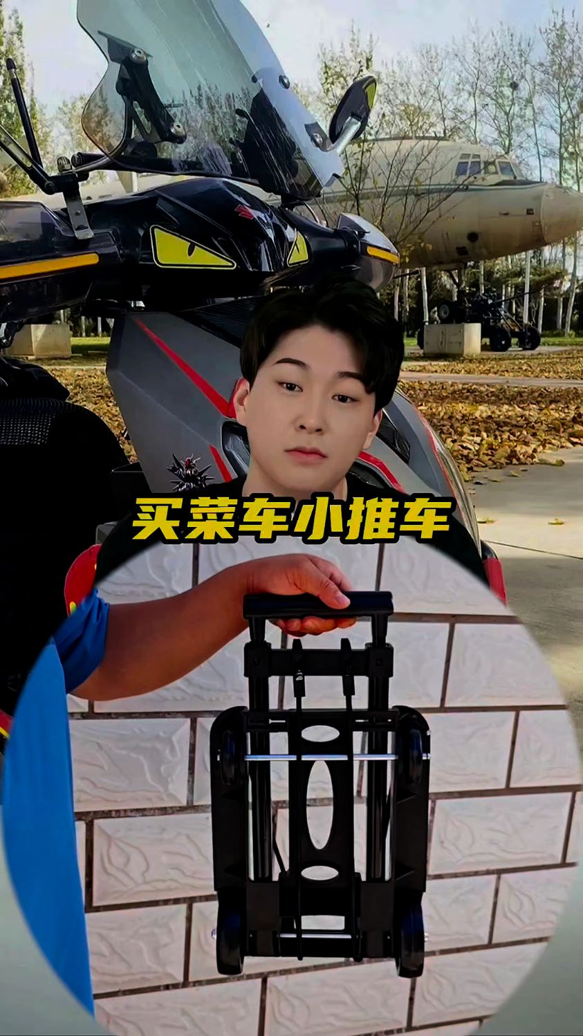 太方便了买菜车小推车