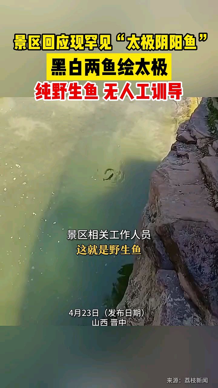 景区罕见“太极阴阳鱼”