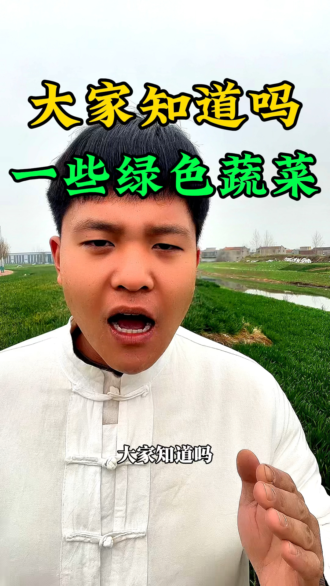 大家知道吗?这些绿色的蔬菜不容易有虫害