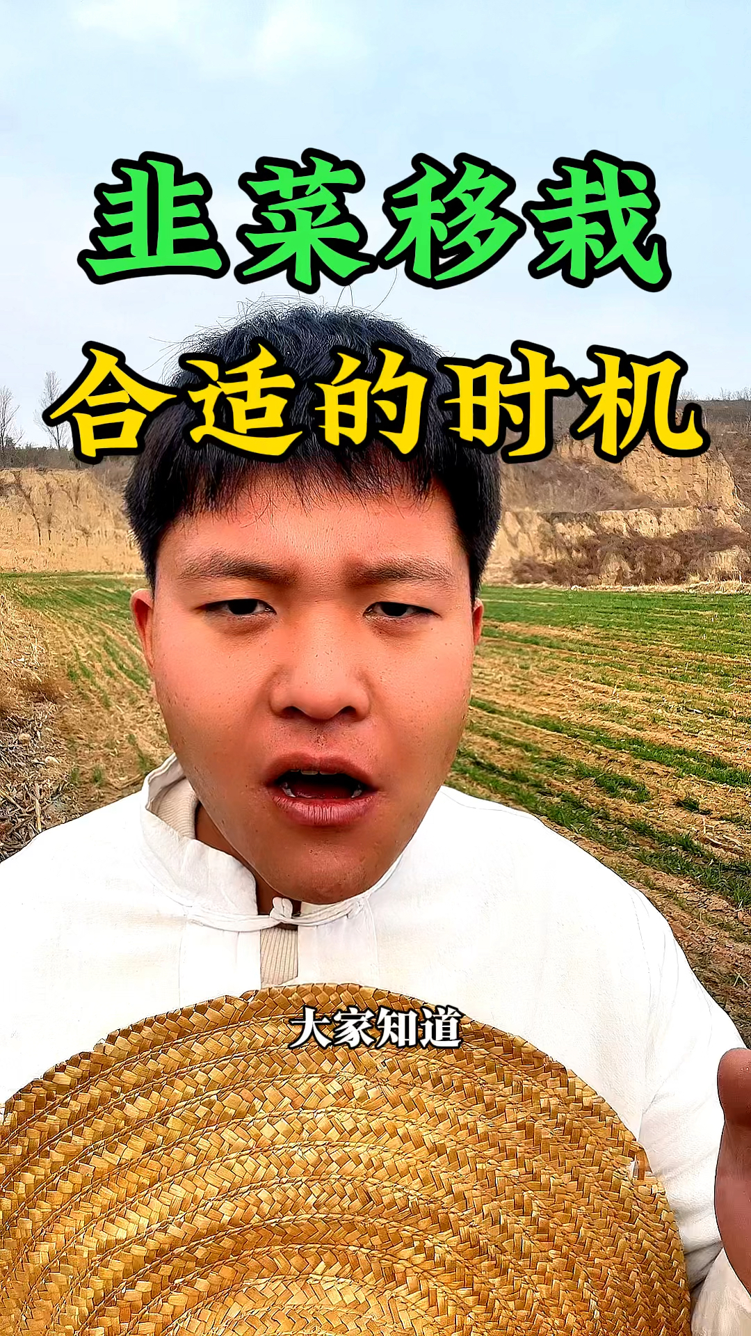 大家知道吗?韭菜在什么时候移栽合适