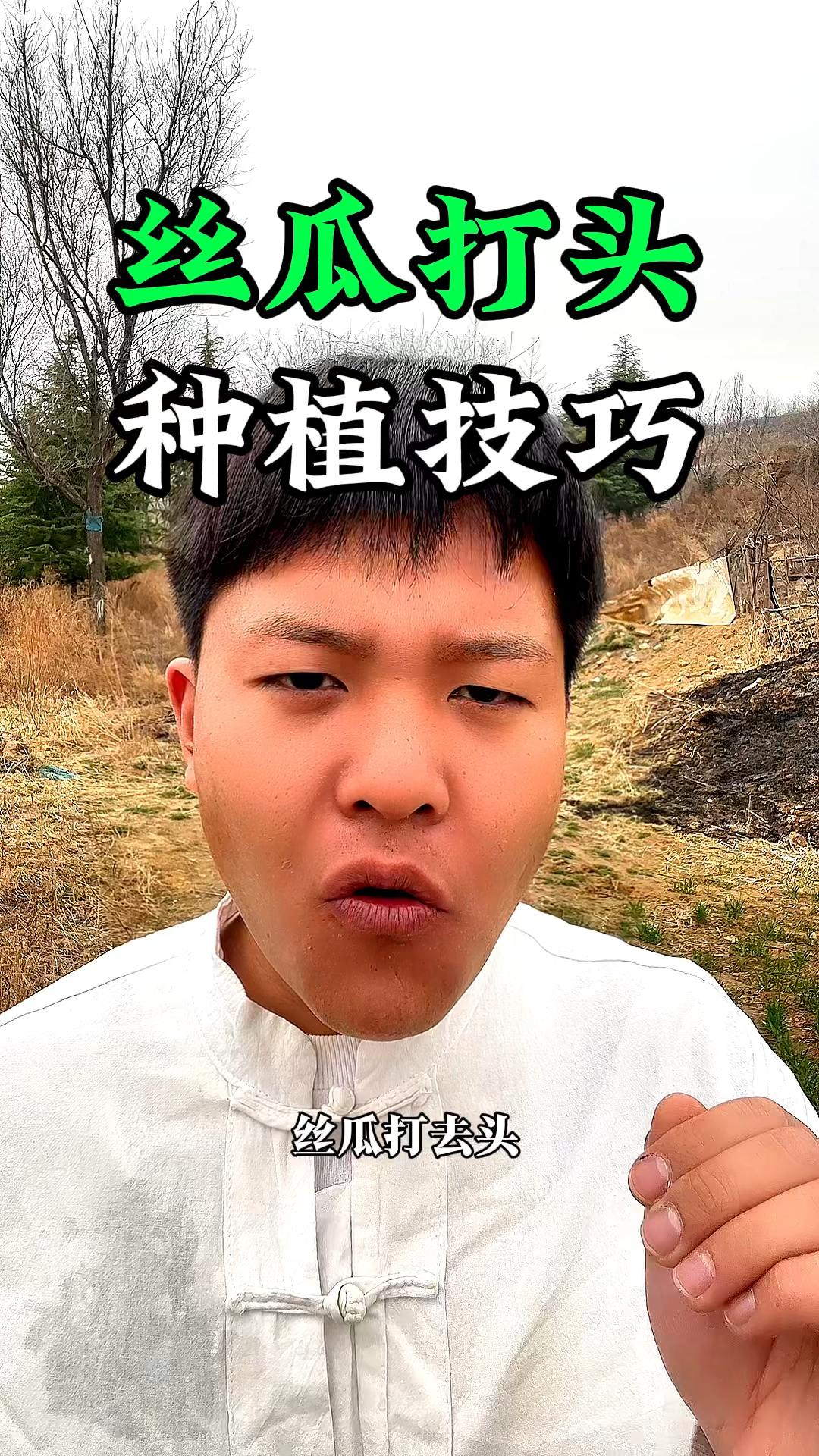 丝瓜打了头,该如何去管理呢?