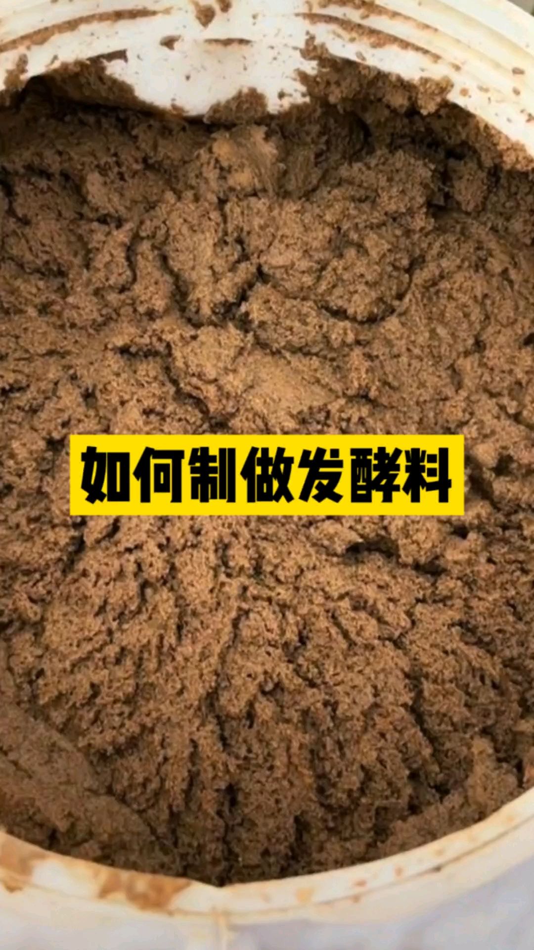 如何在家自制发酵料#龙虾#发酵#发酵料#龙虾#鱼