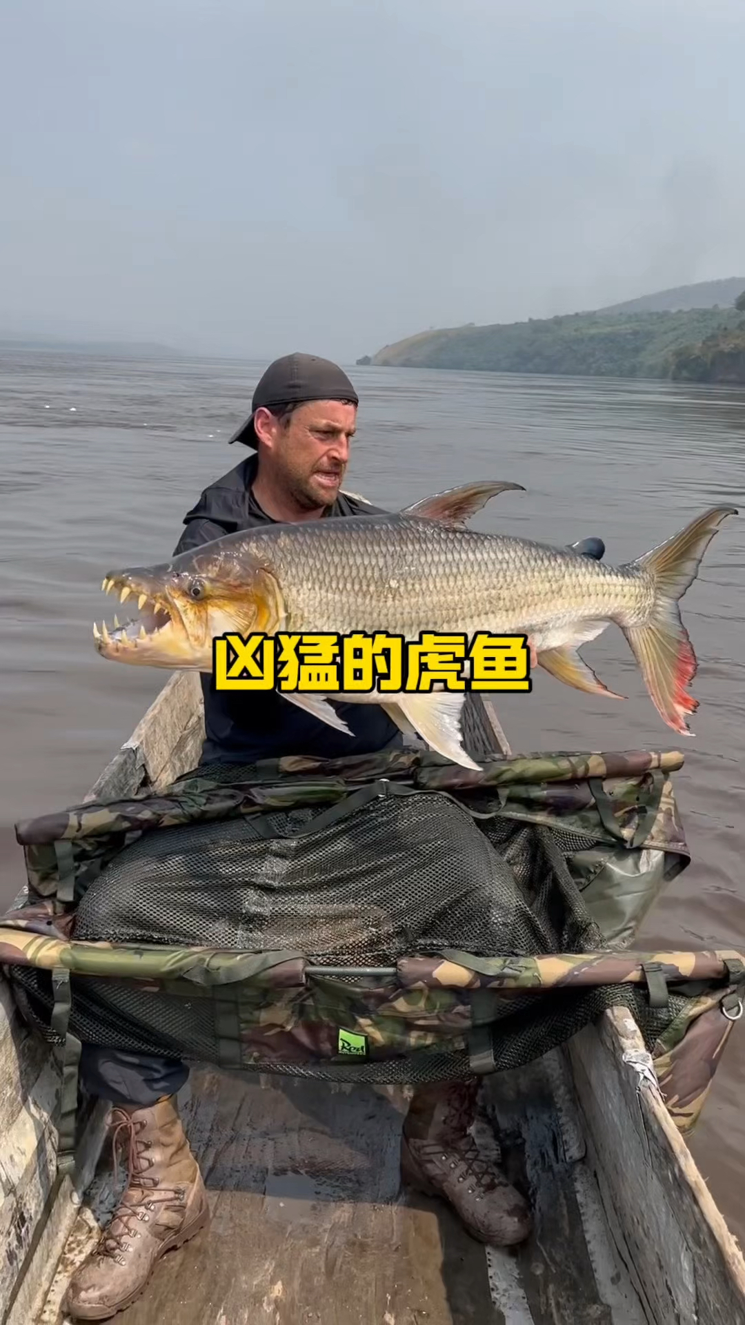 大自然当中的凶狠掠食者，非洲虎鱼的实力简直无法想象