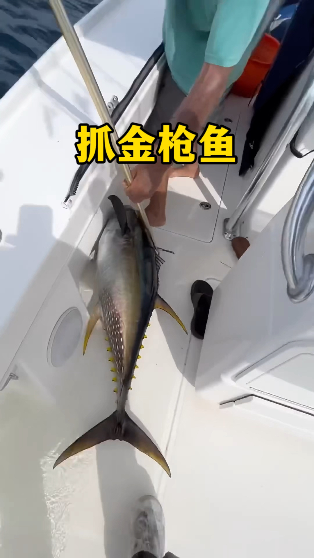 几位大哥在海里钓到大鱼,一个铁钩就把几十斤金枪鱼牢牢掌握