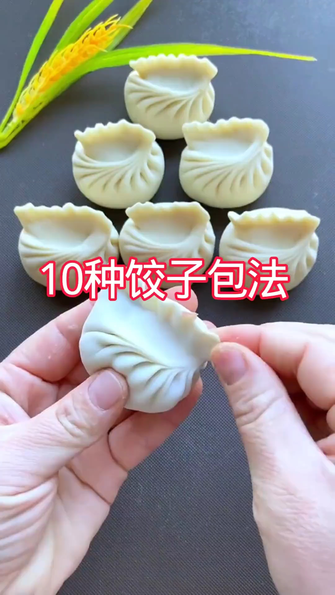 饺子十种花样包法# 包饺子# 饺子教程# 包饺子教.