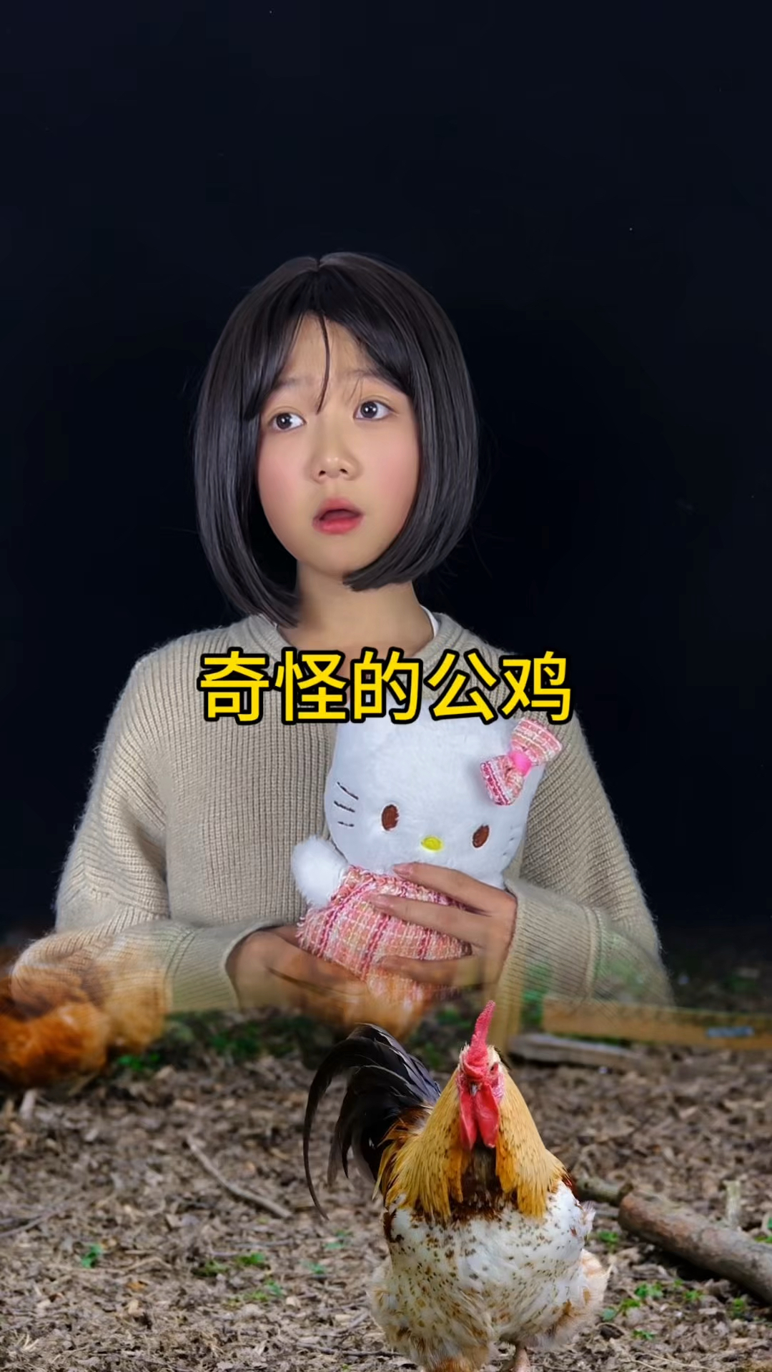 公鸡为什么每天打鸣?