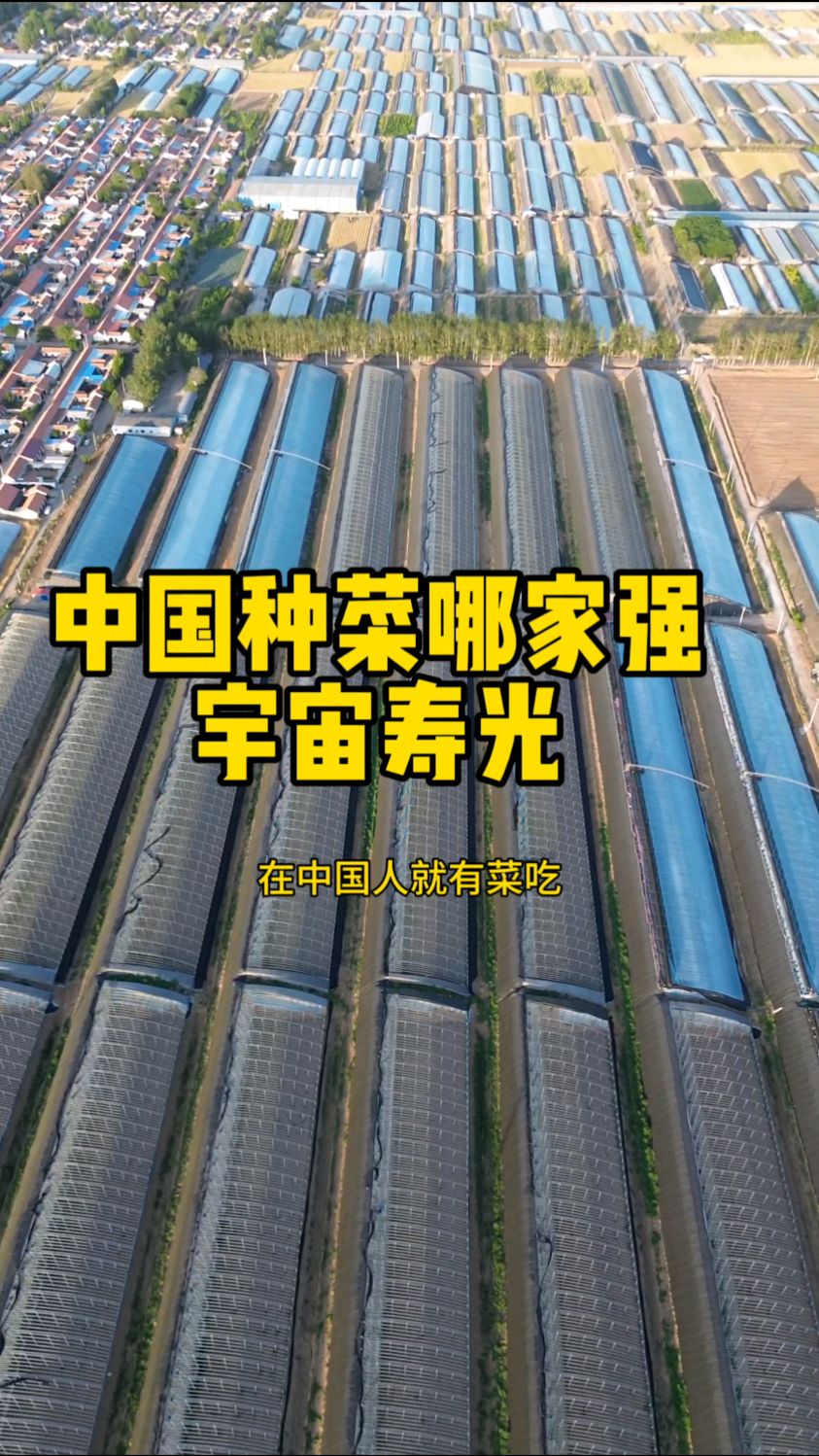 中国蔬菜哪家强 宇宙寿光 俯瞰寿光大棚 震撼