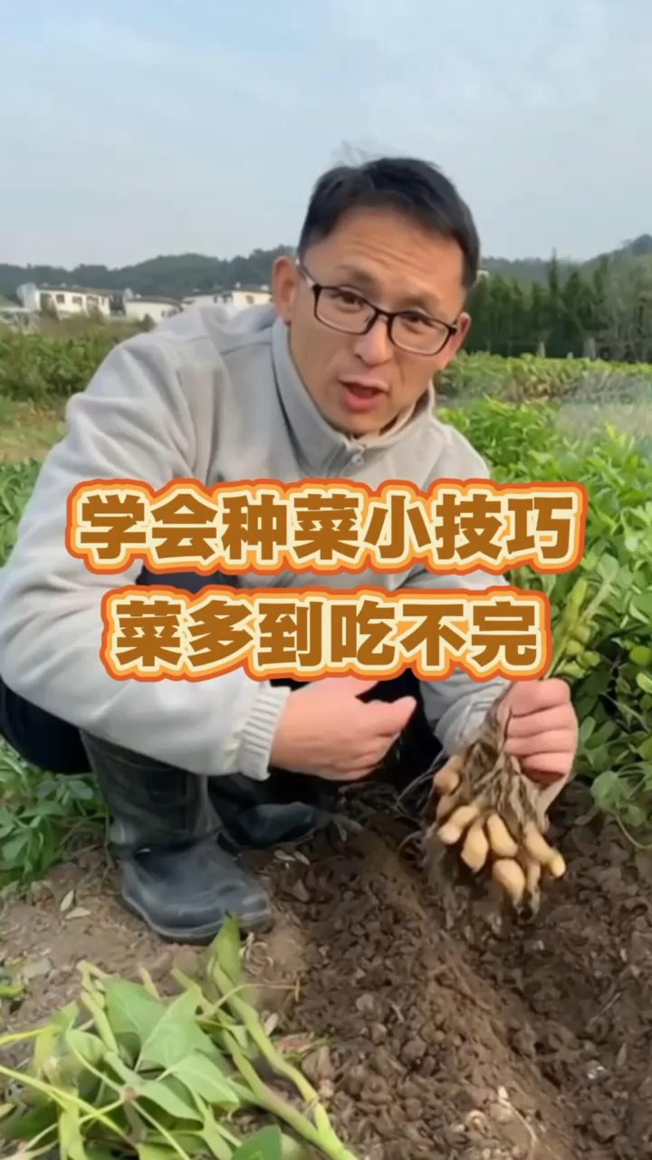 #蔬菜种植#种植技术