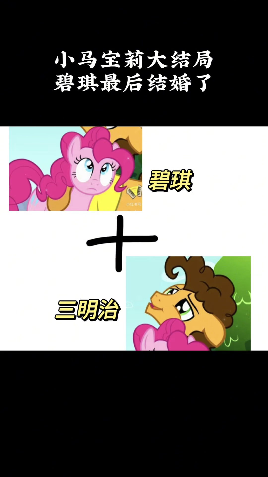 小马宝莉大结局,碧琪最后结婚了