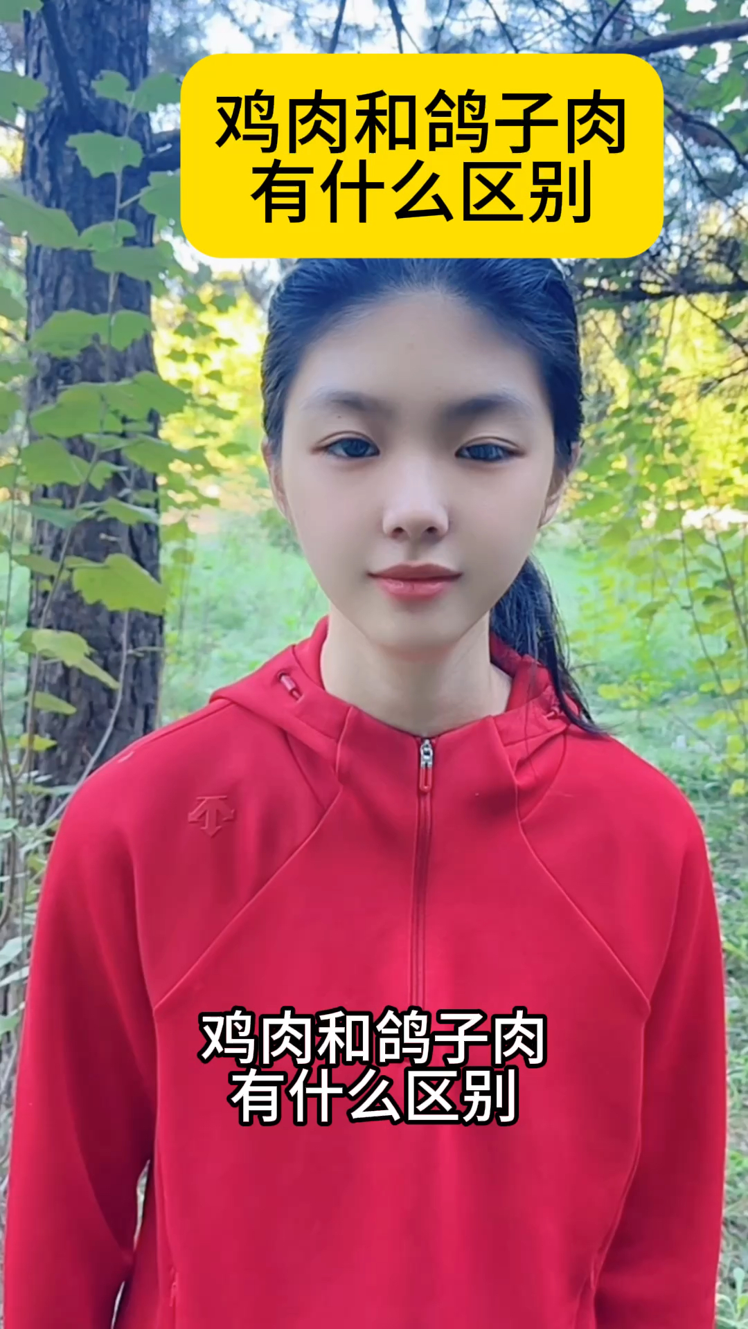 鸡肉和鸽子肉有什么区别?