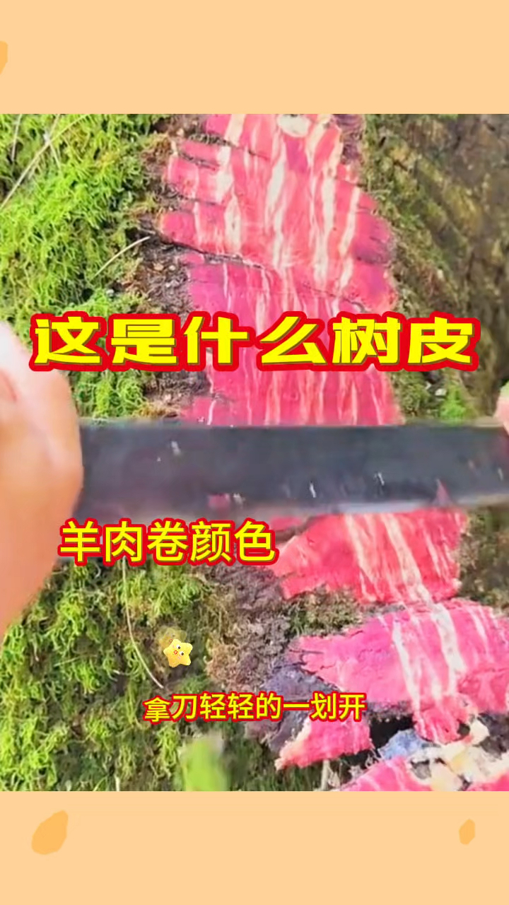 羊肉卷的颜色,这是什么树皮呀