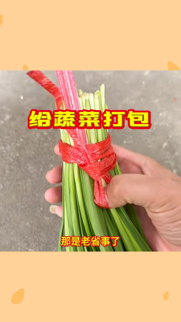 给蔬菜打包,老省事了