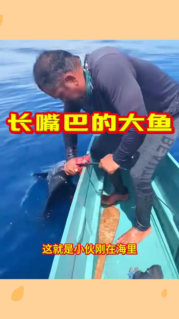 长嘴巴的大鱼,这是什么品种