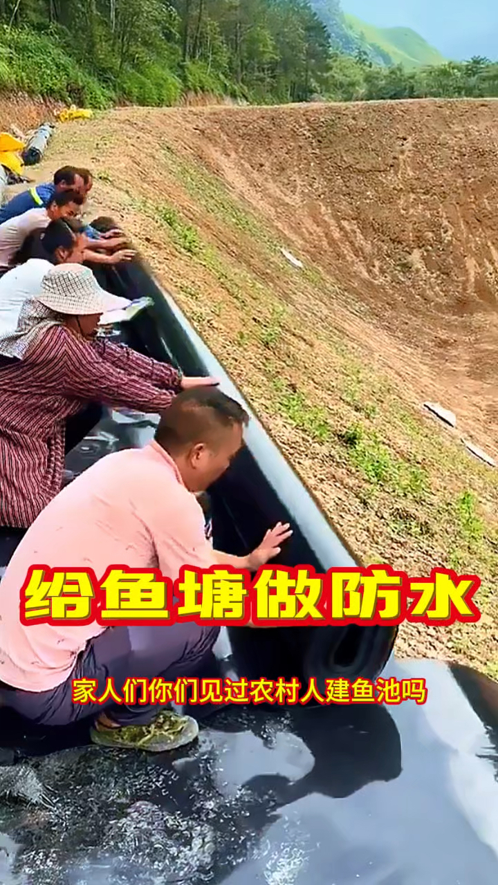 给鱼塘做防水，铺的严严实实的