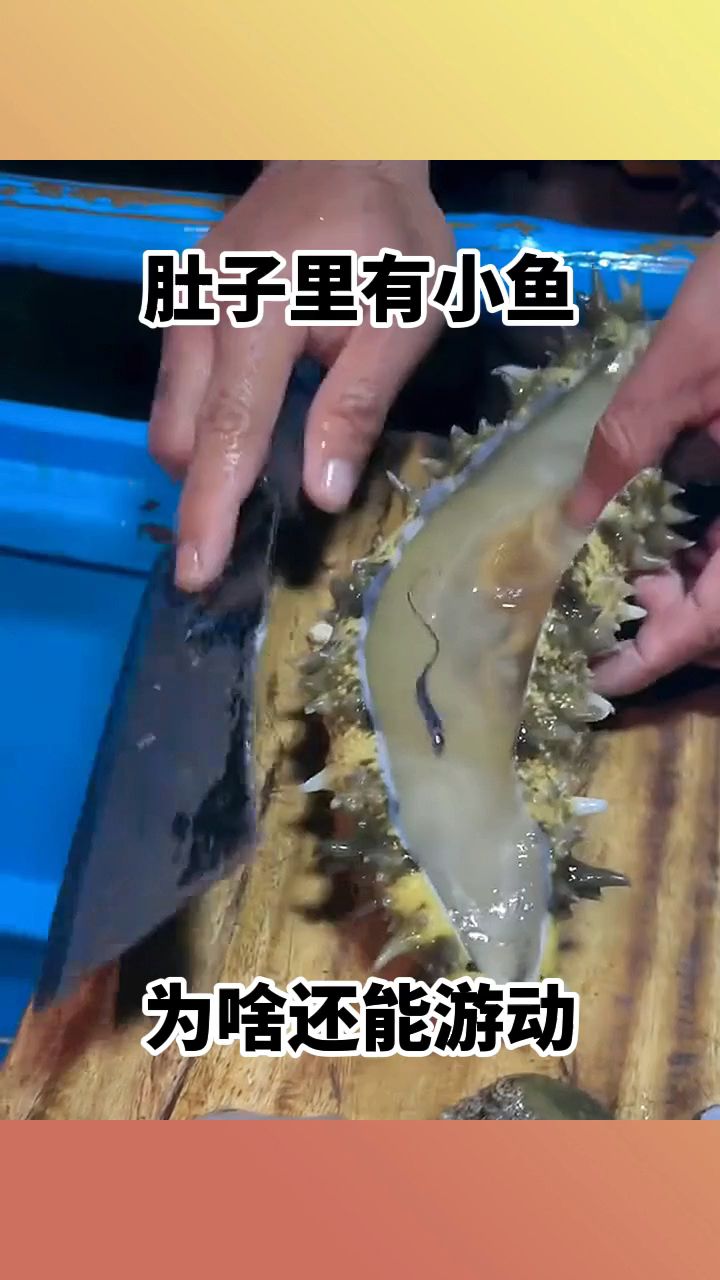 肚子里有小鱼,为啥还能游动!