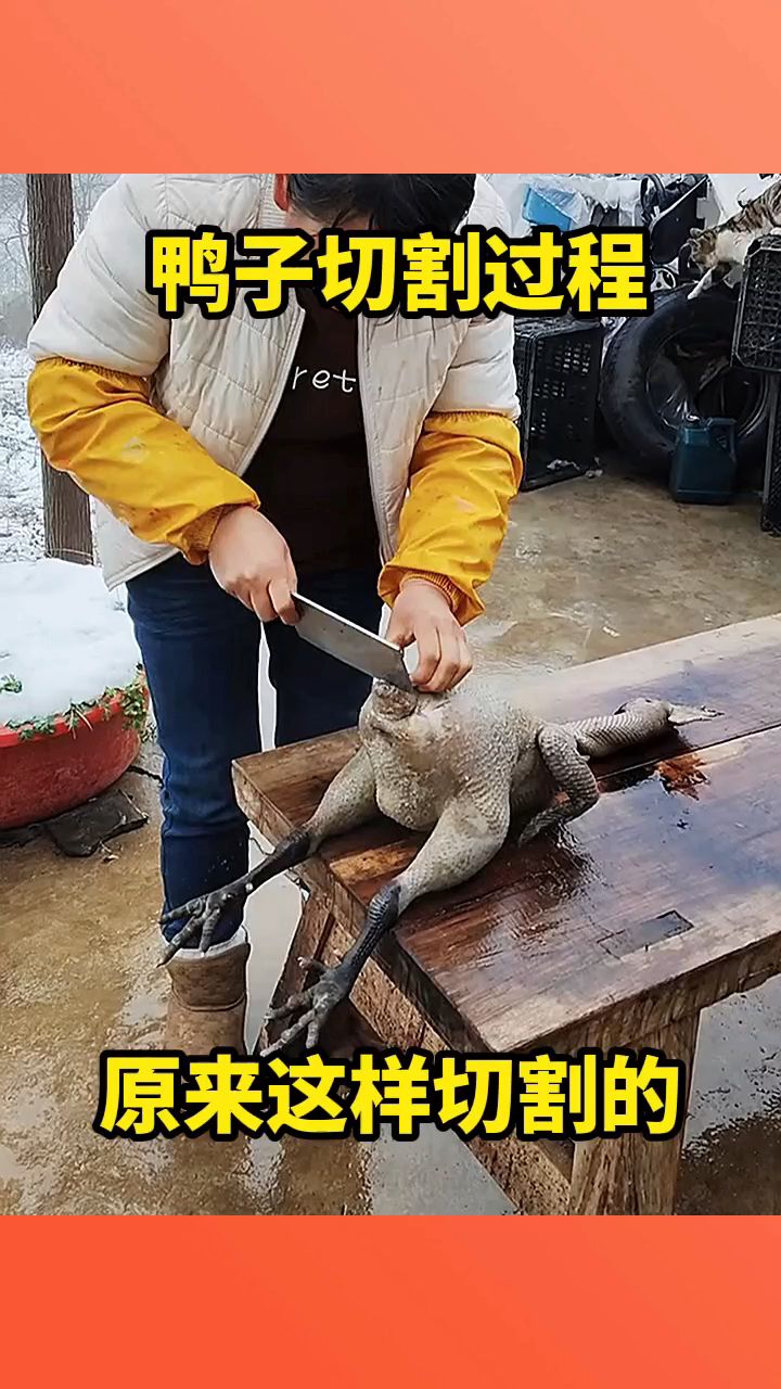 鸭子切割过程,原来这样切割的!