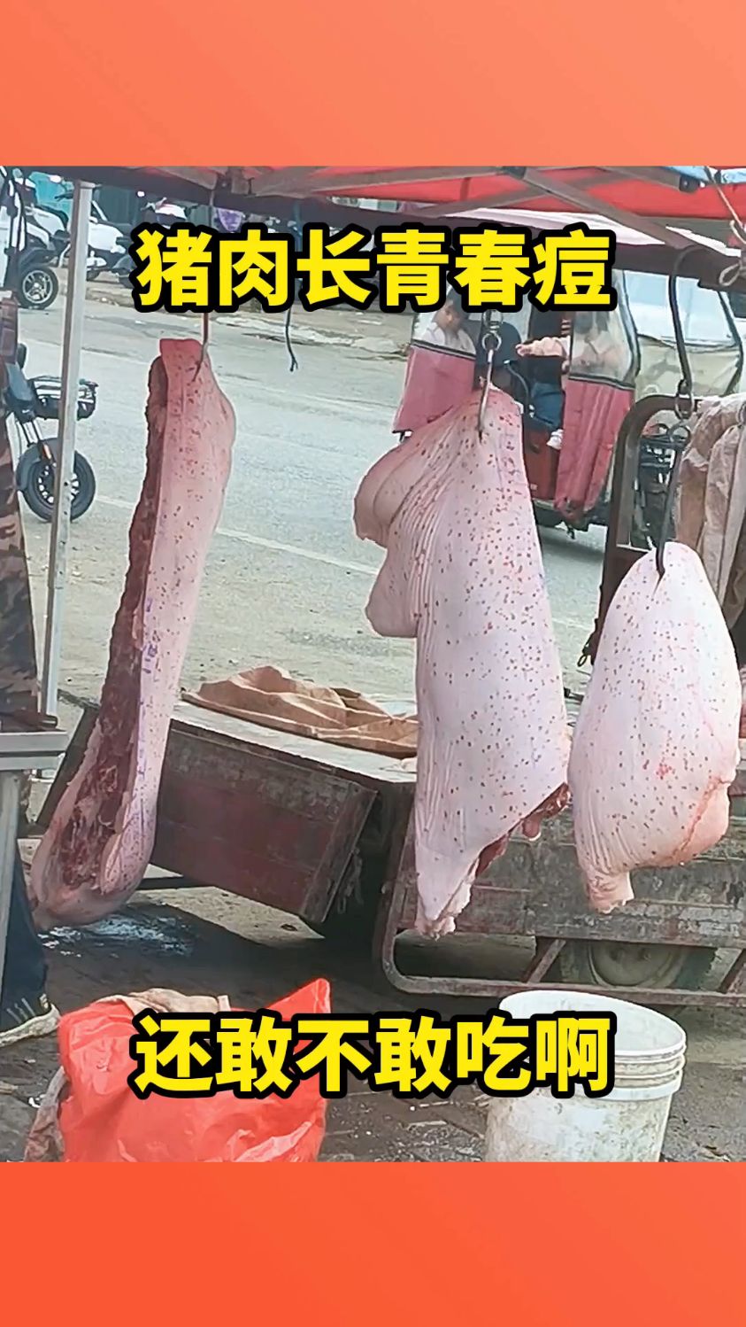 猪肉上长青春痘,还好不好吃啊!