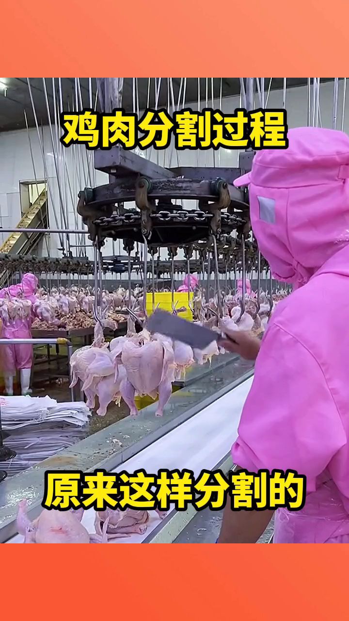 鸡肉分割过程，原来这样分割的！