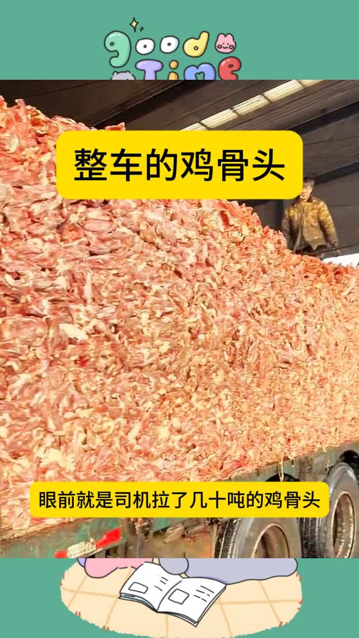 整车的鸡骨头,打碎了喂鱼