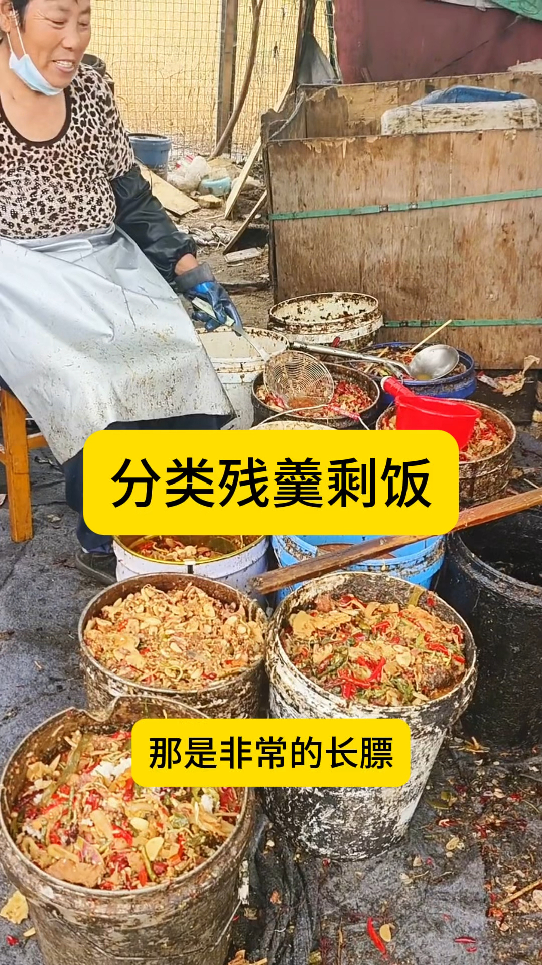 分类的残羹剩饭,喂猪很有营养