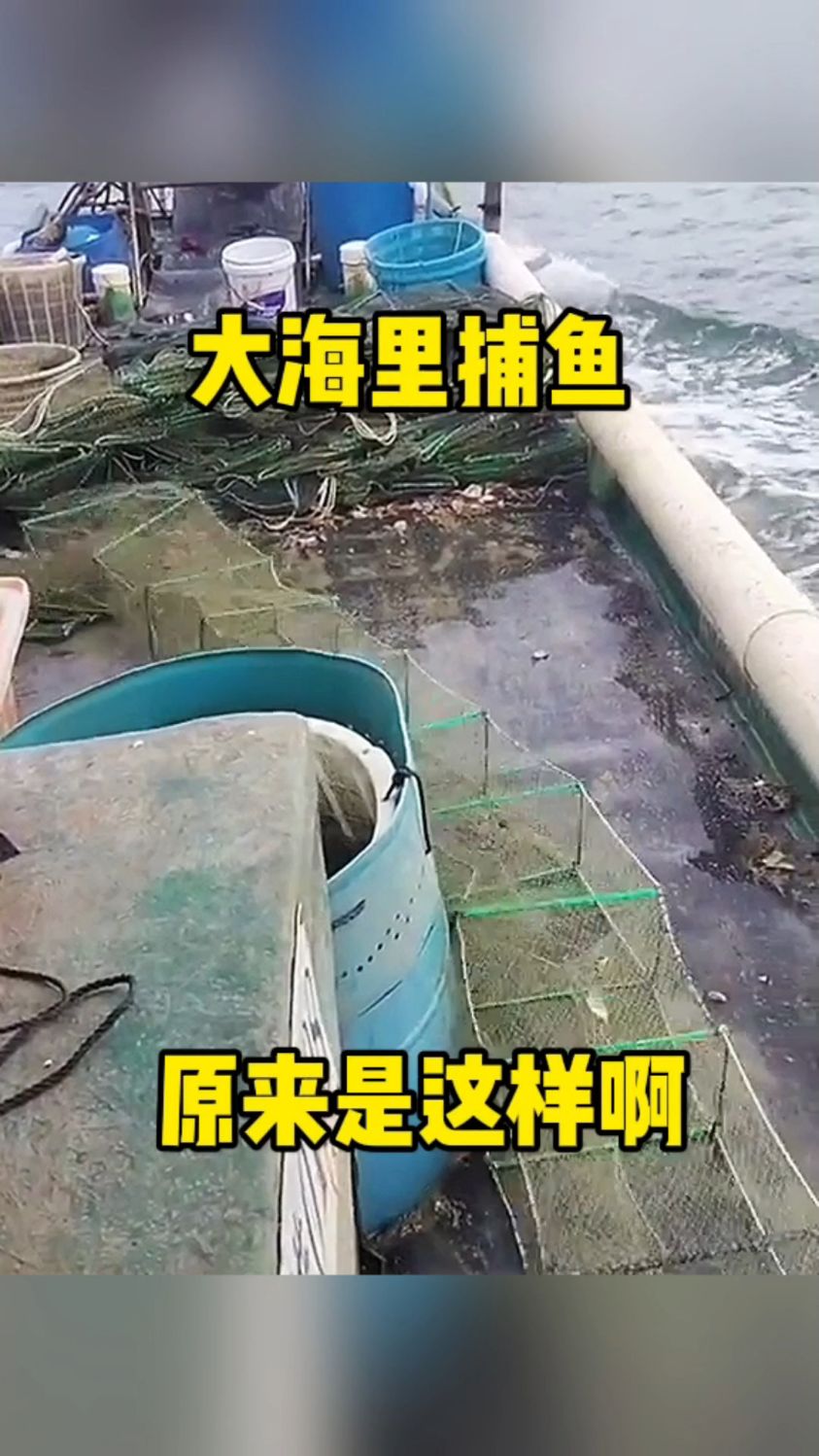 大海里捕鱼,原来是这样啊!