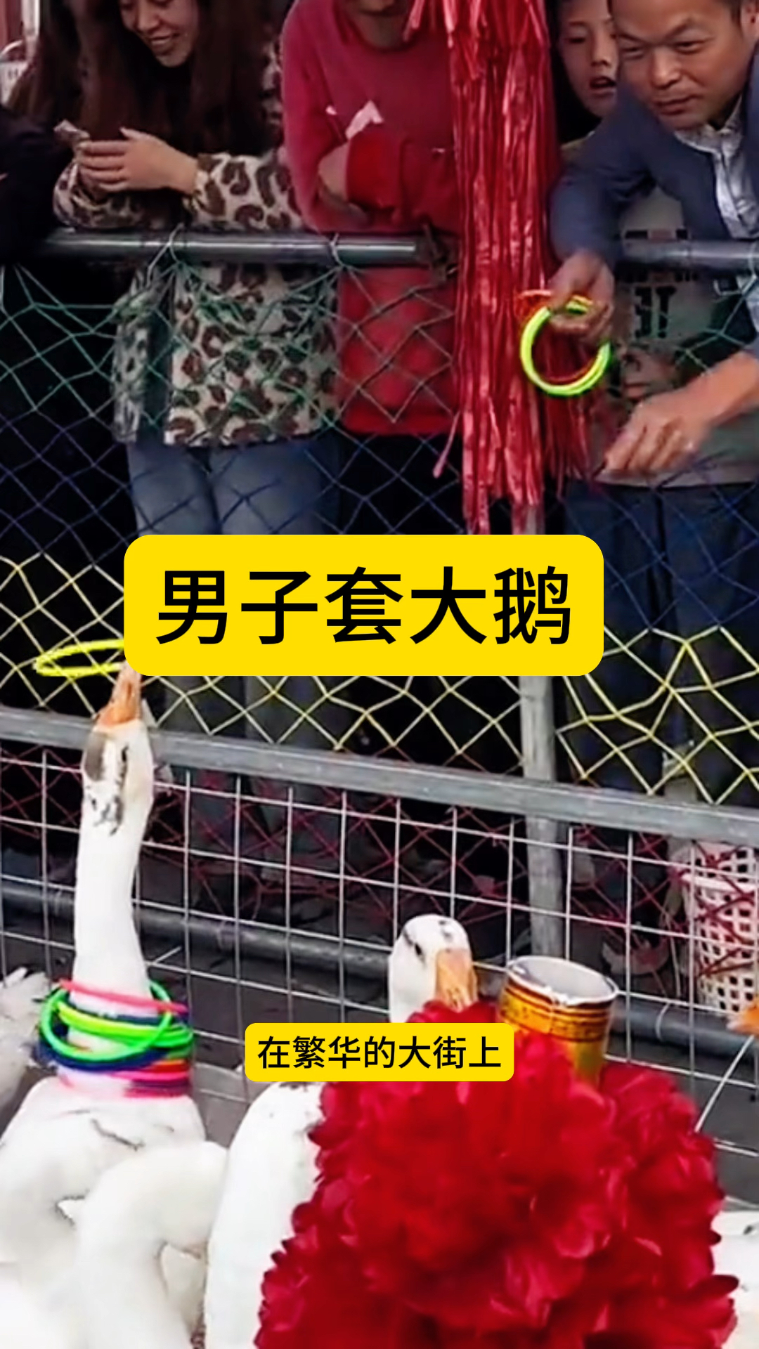 男子套大鹅,百发百中