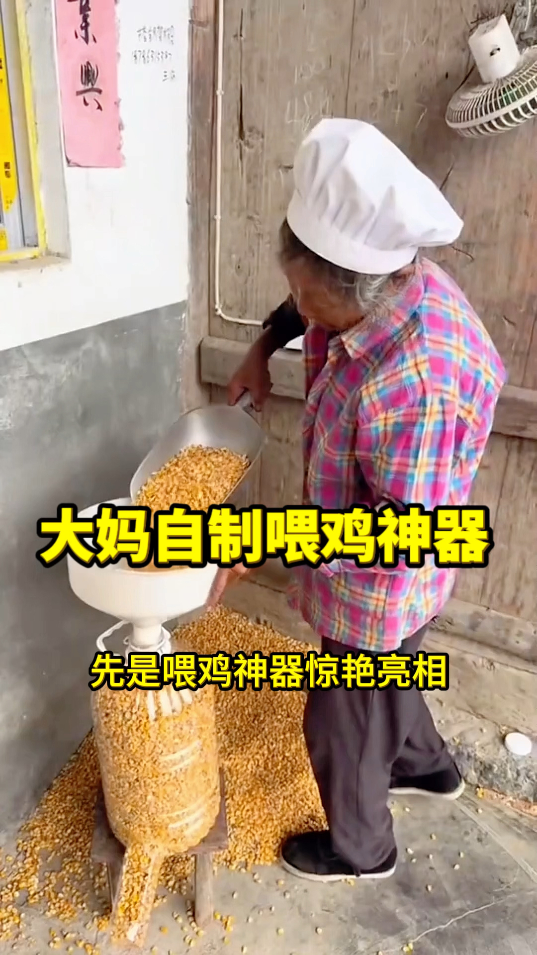 大妈自制喂鸡神器,太有创意了