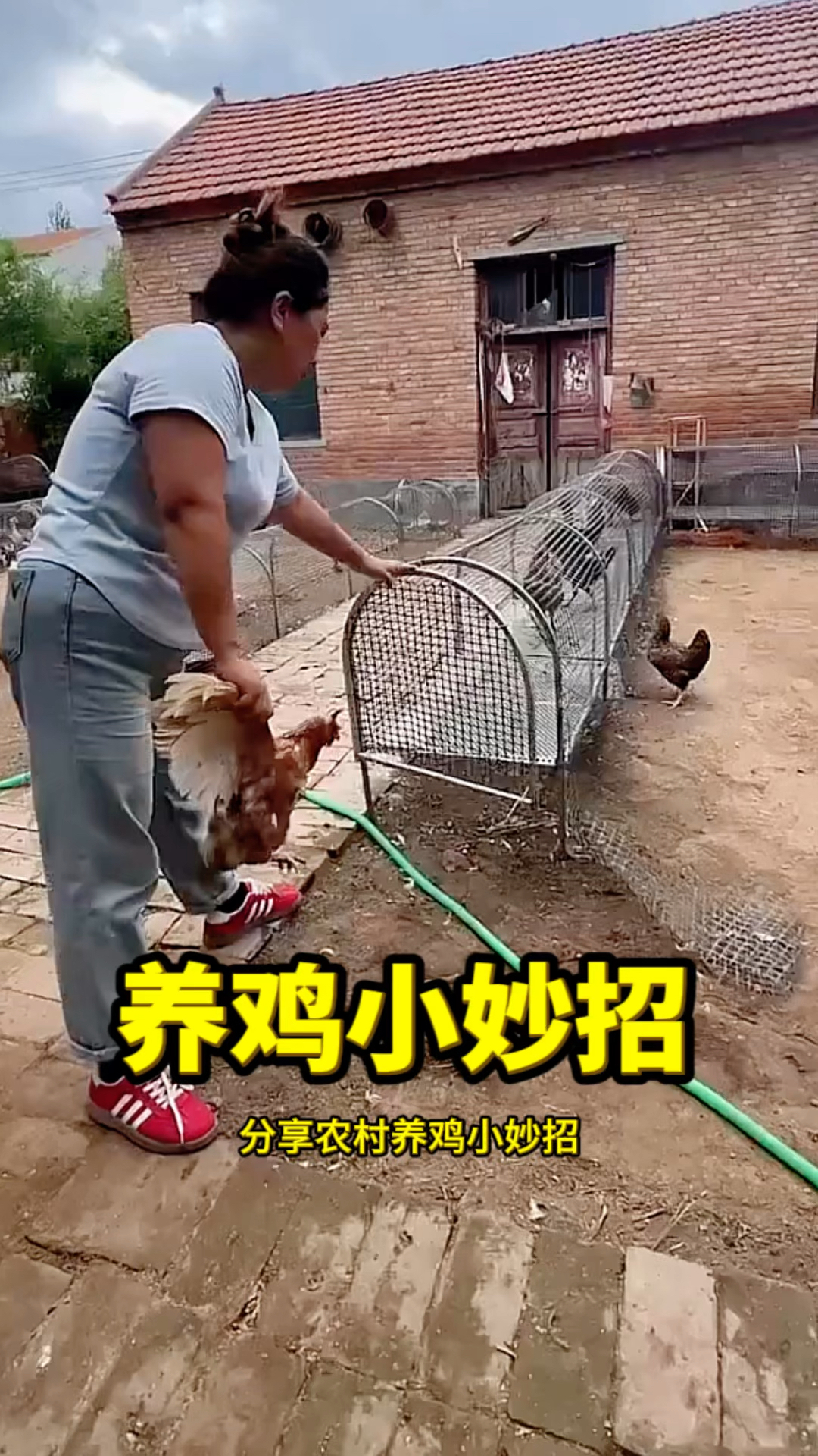 养鸡小妙招,自制加长的鸡笼子!