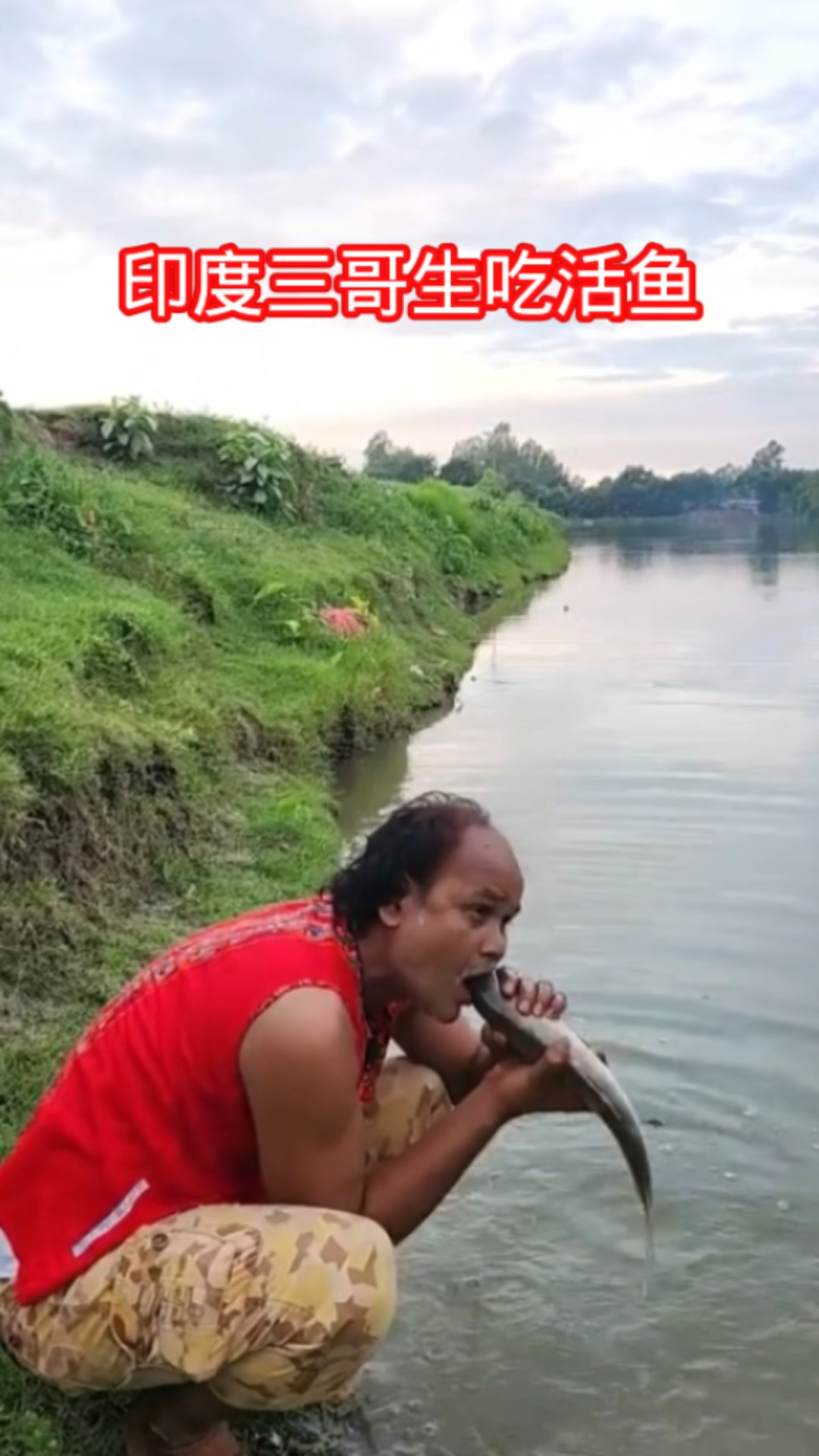 印度三哥生吃活鱼 口味太重了